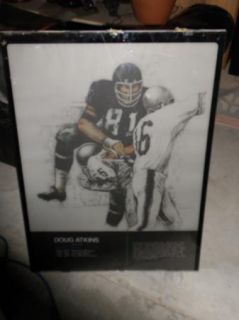 Doug Atkins Chicago Bears Hall of Fame Piece Artwork from Enshrinement