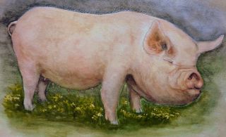 American Folk Art Watercolor of A Pig Signed and Dated 1941