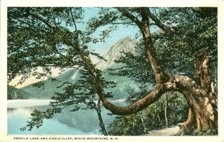 Profile Lake Eagle Cliff White Mountains NH Postcard