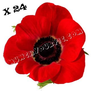 24 Red Poppy Flower Edible Rice Wafer Paper Cupcake Toppers Fairy Bun