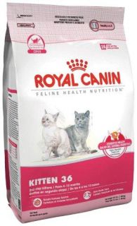 royal canin dry cat food kitten 36 formula 15 pound bag