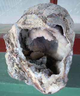  Open Mouth Agate Geode 12 38 lb Dugway Beds Juab County Utah