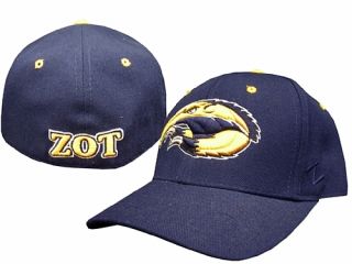 UC Irvine Anteaters Fitted Hat Zephyr