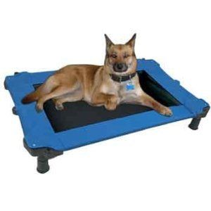 Pet Gear Petmate Durabed Elevated Pet Dog Cat Bed Cot