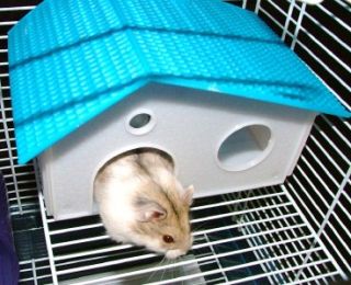 Hamster Cage Dougals Den Dwarf Mouse Mice Rodent Cages