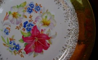 Edgewood Iroquois China EWD9 Floral pttrn Dinner Plate