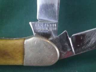Elk Horn 1980 Surgical 2 Blade Folding Pocket Knife Taylor Japan