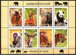 description complete set of 8v wildlife of asia in combined