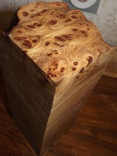 Out of This World Elm Burl Tall Blank X4