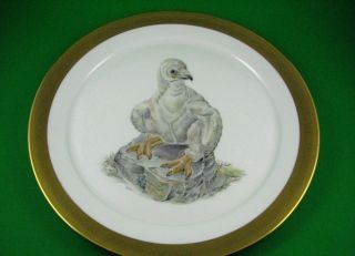 1973 Bald Eagle Young America Plate by Edward Marshal Boehm