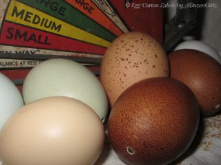12 Hand Blown Eggs Earth Tones Multicolor Browns Cream White Holiday
