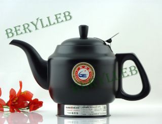 High Quality Safe Save Energy Electric Teapot 110V 220V