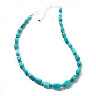 Jay King Blue/Green Anhui Turquoise Beaded 18 1/2 Necklace