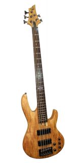 ESP LTD B205SMNS 5 String Natural Satin Bass Guitar