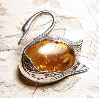  Swan Baltic Amber Sterling Silver Pin