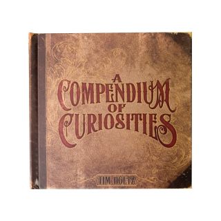 107 6304 scrapbooking a compendium of curiosities idea ology idea book