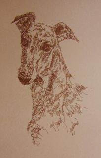  DOG ART #241 Kline will add dogs name free. WORD DRAWING red fawn GIFT