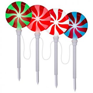 174 389 winter lane string of 4 led lollipop lighted path markers