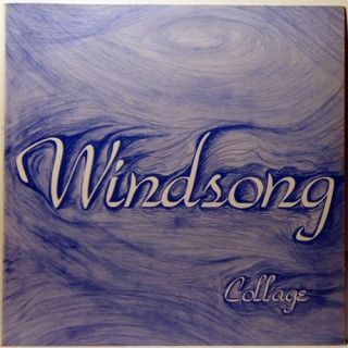 Collage Windsong LP 1984 RARE Iowa Private Press Folk Rock T Berry