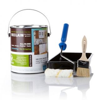 206 417 reclaim reclaim beyond paint one gallon restoration kit rating