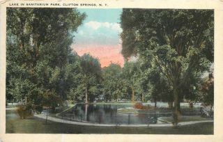  Springs New York~Sanitarium Park Lake~Fence~Rigid Examinations~1922