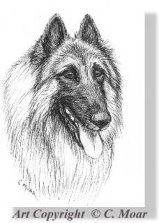 Belgian Shepherd TERVUREN Dog ACEO Original Art Pen and Ink Study