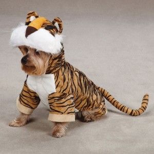 Dog Tiger Halloween Pet Puppy Costume XS s M L XL