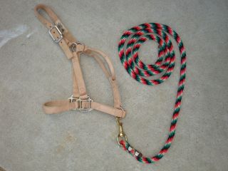 Beige Horse Halter with Multi Colored Lead Rope