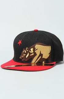 Dissizit The Side Bear Snapback Cap in Black Red
