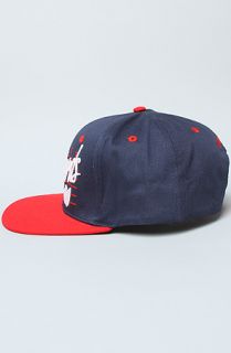 Wutang Brand Limited The Dirty Snapback Cap in Navy