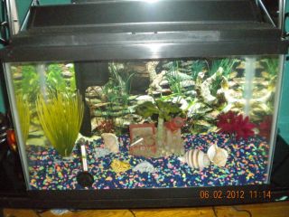 Aquarium Fish Tank Decorations Tank 10 Gallon Use