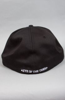 breezy excursion eye of the tiger fitted $ 32 00 converter share on