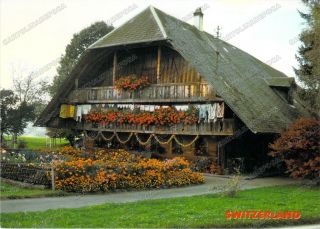  Estero Svizzera Bauernhaus 202405