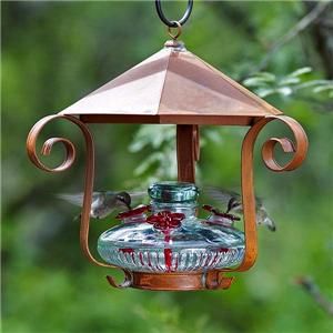 Parasol Bloom Shelter Glass Hummingbird Feeder 4 Different Colors