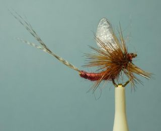 24 Extended Body Dry Flies Asst. Mahogany Dun or Red Quill, PED or
