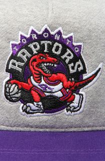 Mitchell & Ness The Toronto Raptors Heather Fleece 2T Snapback Cap in