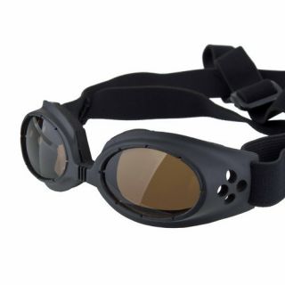  Dog Doggles Goggles UV Sunglasses Eye Wear Protection Black New