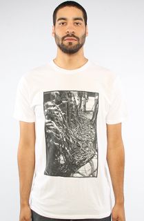 Analog The Permanent Light Archive Plugged In Tee in White  Karmaloop