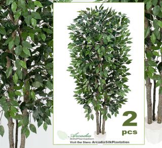 Two 7 Ficus Real Wood Artificial Tree Silk Plant Inpot