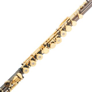 Cecilio Black Gold Open Hole C Flute FE 380BNG w B Foot