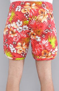 Dark Seas The Hitch Boardshorts in Red