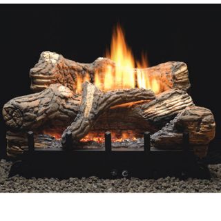  Fireplaces Gas Logs Propane Natural Gas Ventless Gas Fireplace Log