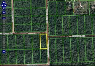 Property for sale on Forest Park St Bunnell FL  LOW Starting