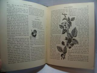 1898 Intra Muros My Dream Heaven Rebecca Ruter Springer Book Afterlife