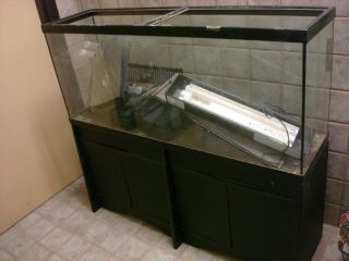 50 Gallon Fish Tank Aquarium With Stand Great deal auction starts at 1
