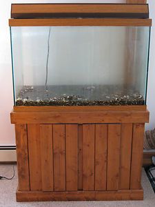 65 Gallon Fish Tank Hood and Stand w ExtraS