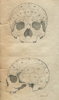 Dr GALLs LEARNING ABOUT The BRAIN & SKULL ~ 1st 1805ed FATHER Of