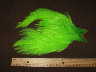   Chartreuse Flatwing Cape Dry Fly Fishing Feathers Lot 381 Hackle Mix