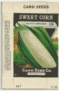  1920s Sweet Corn Seed Box Card Seed Co. Fredonia, N.Y.  Stone Litho