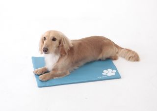 Keep your pet cool for the summer The Cool Gel Pad is an